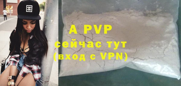 гашик Аркадак