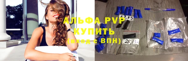 гашик Аркадак