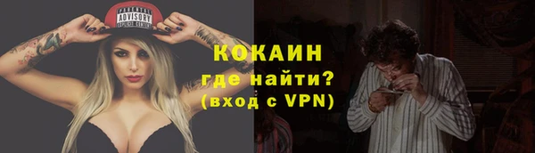 гашик Аркадак
