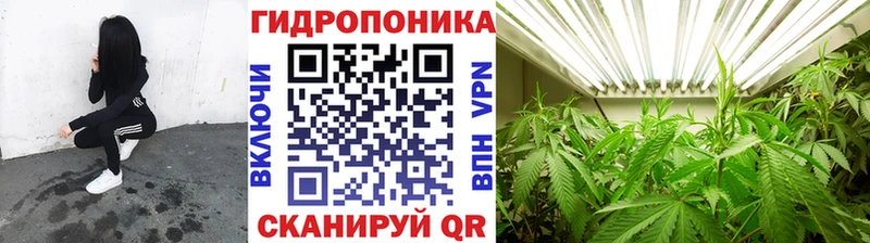 цена наркотик  Славск  МАРИХУАНА марихуана 